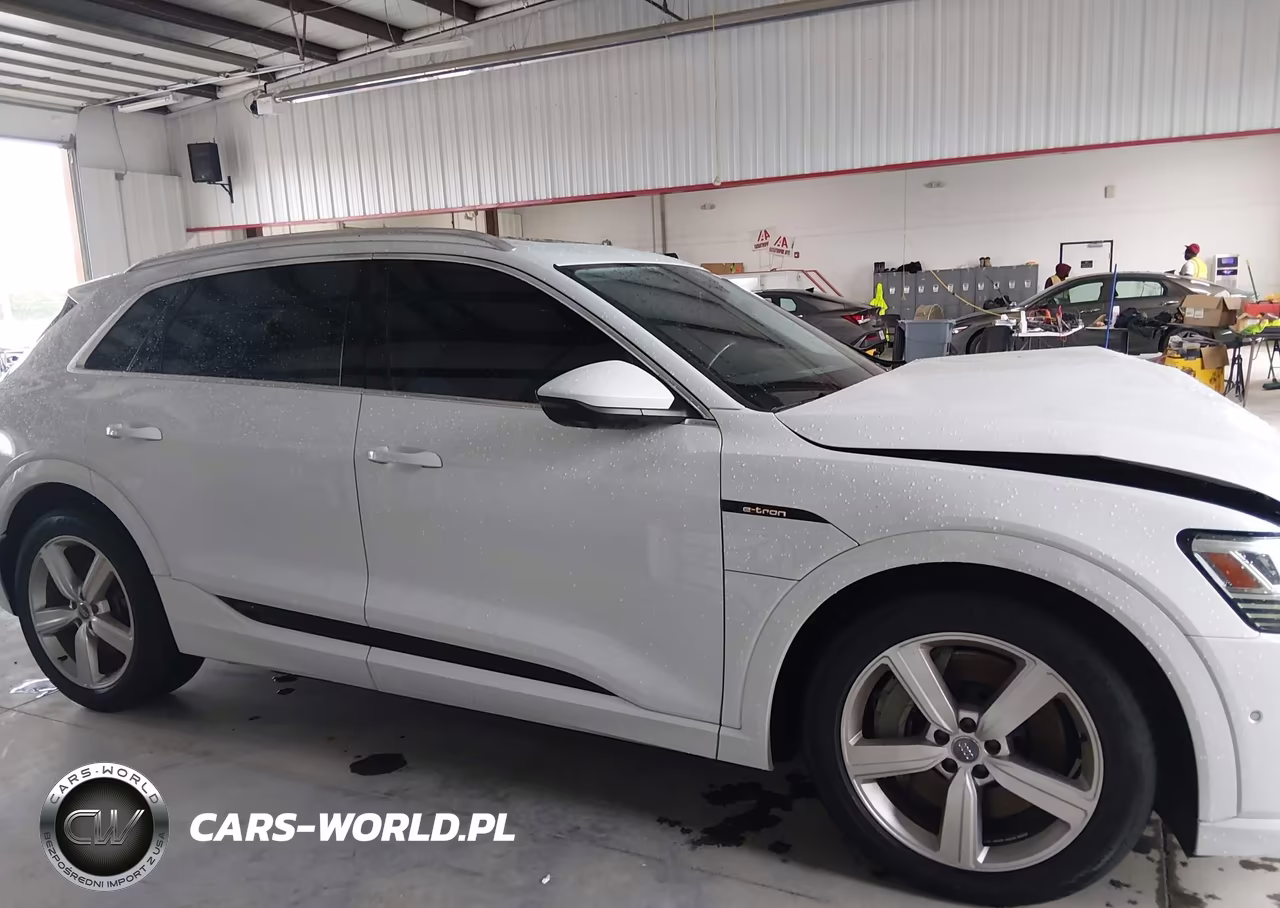 2019 Audi E-Tron Premium Plus VIN:WA1LAAGEXKB024227 - 13