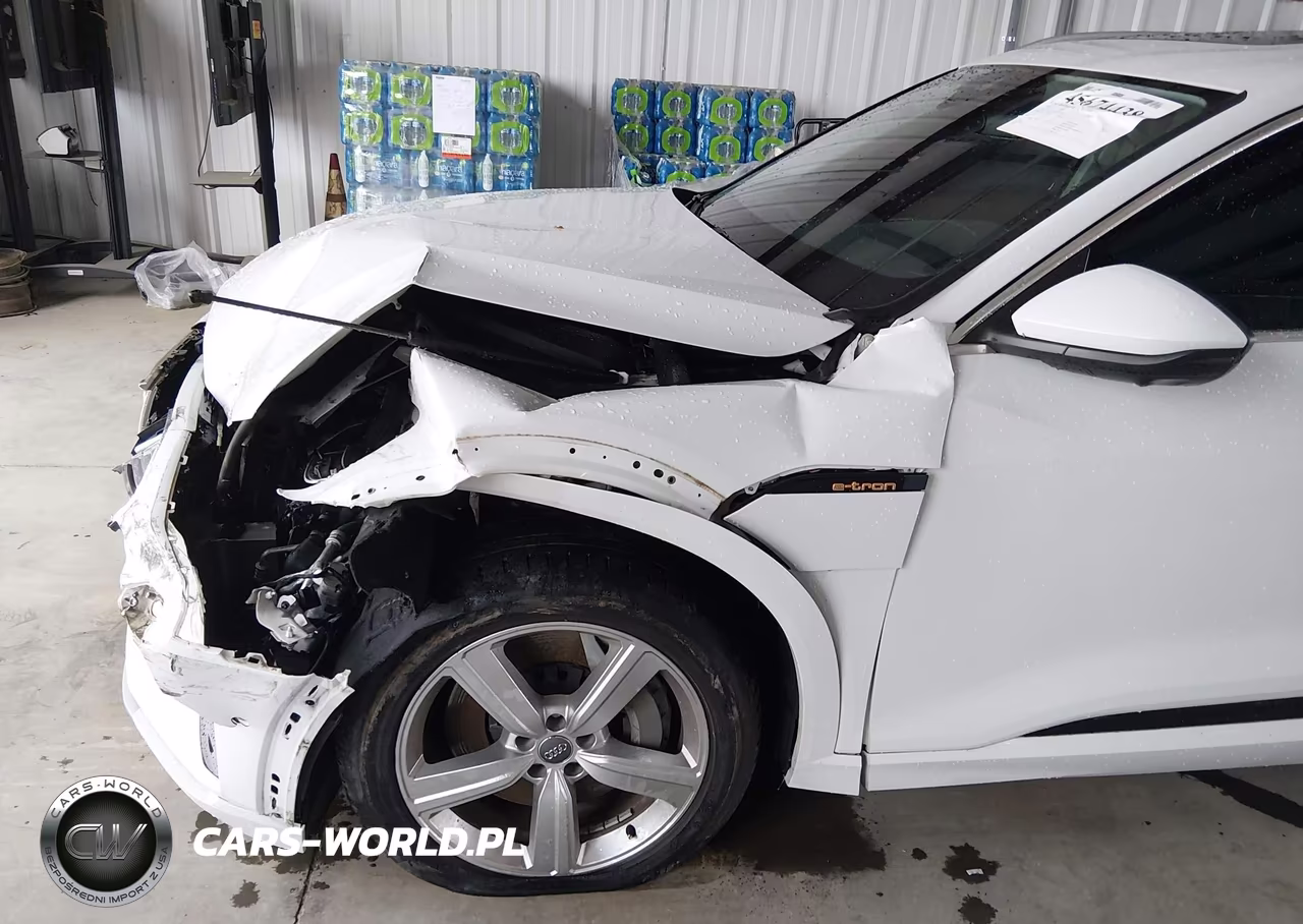 2019 Audi E-Tron Premium Plus VIN:WA1LAAGEXKB024227 - 6