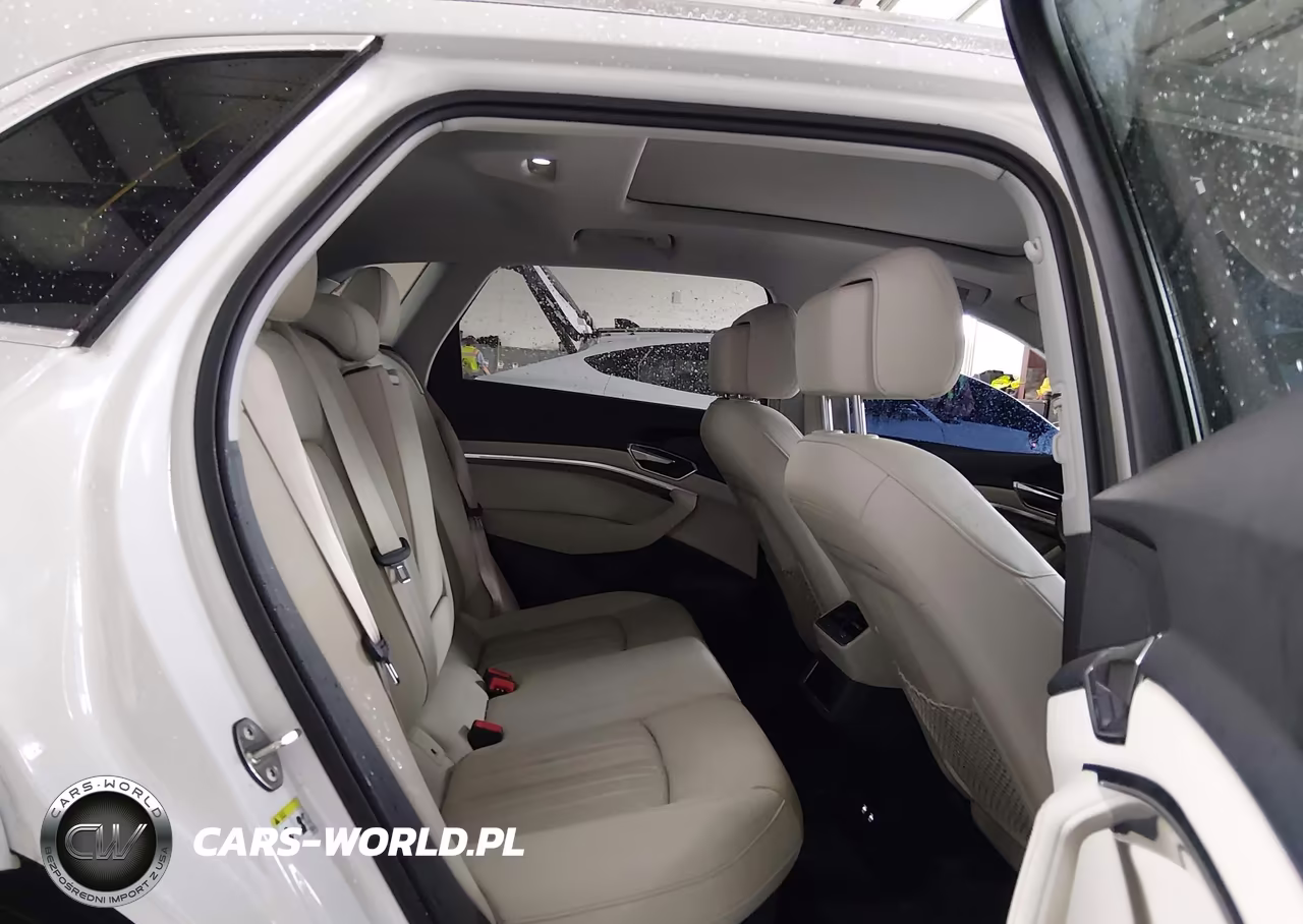 2019 Audi E-Tron Premium Plus VIN:WA1LAAGEXKB024227 - 8