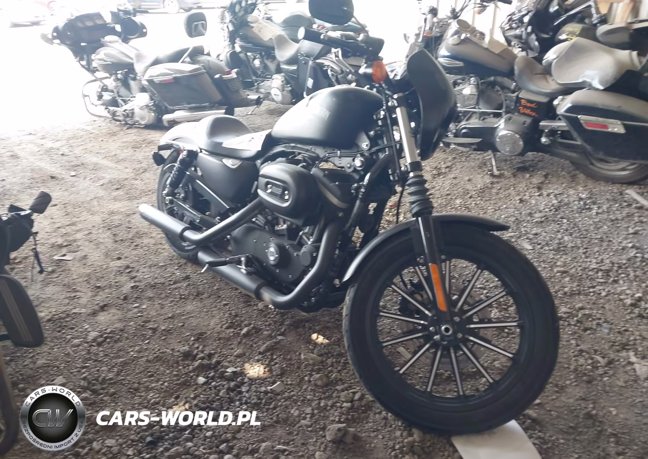 2013 Harley-Davidson Xl883 Iron 883 – zdjęcie 1 z 14