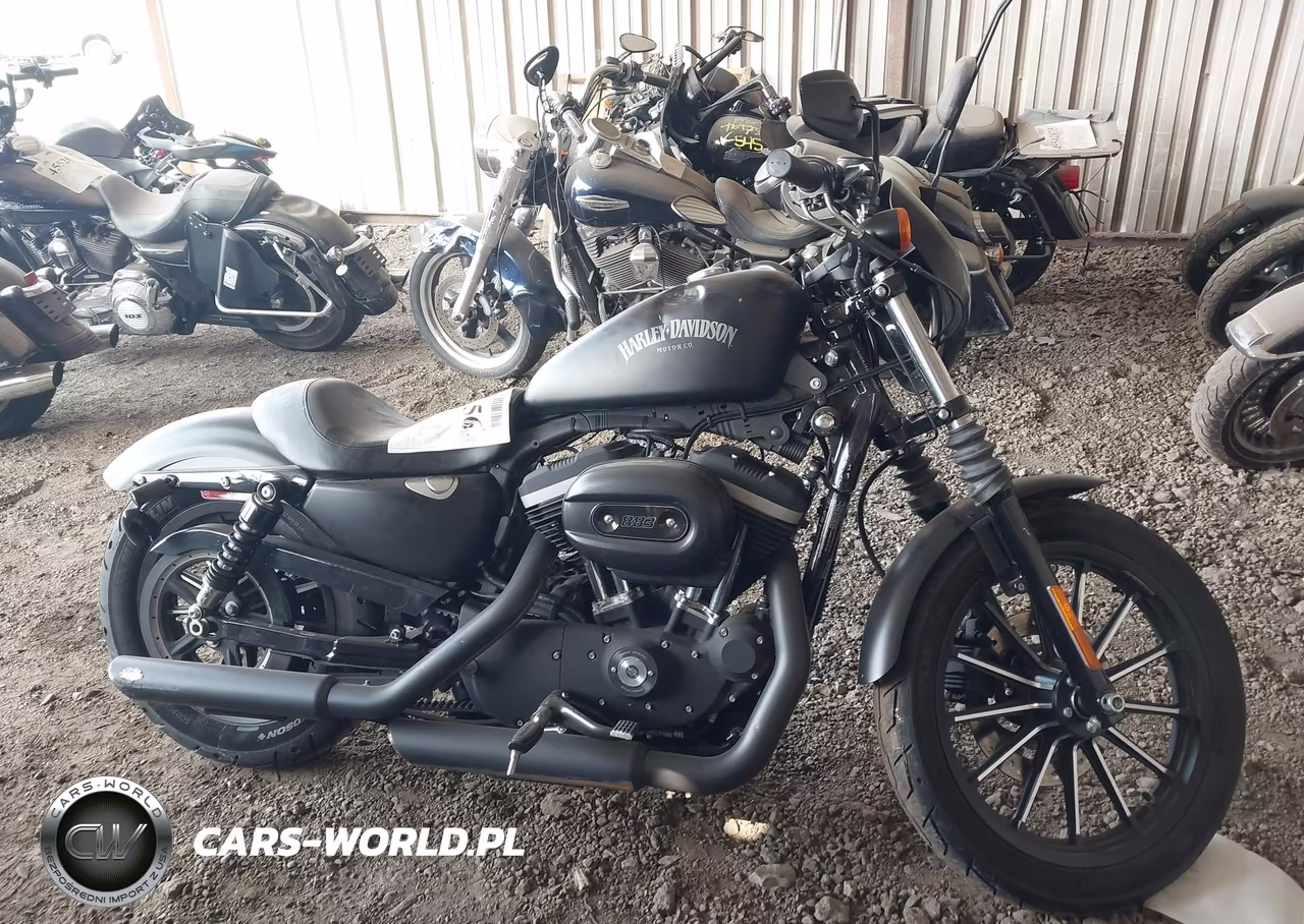 2013 Harley-Davidson Xl883 Iron 883 VIN:1HD4LE216DC414088 - 11