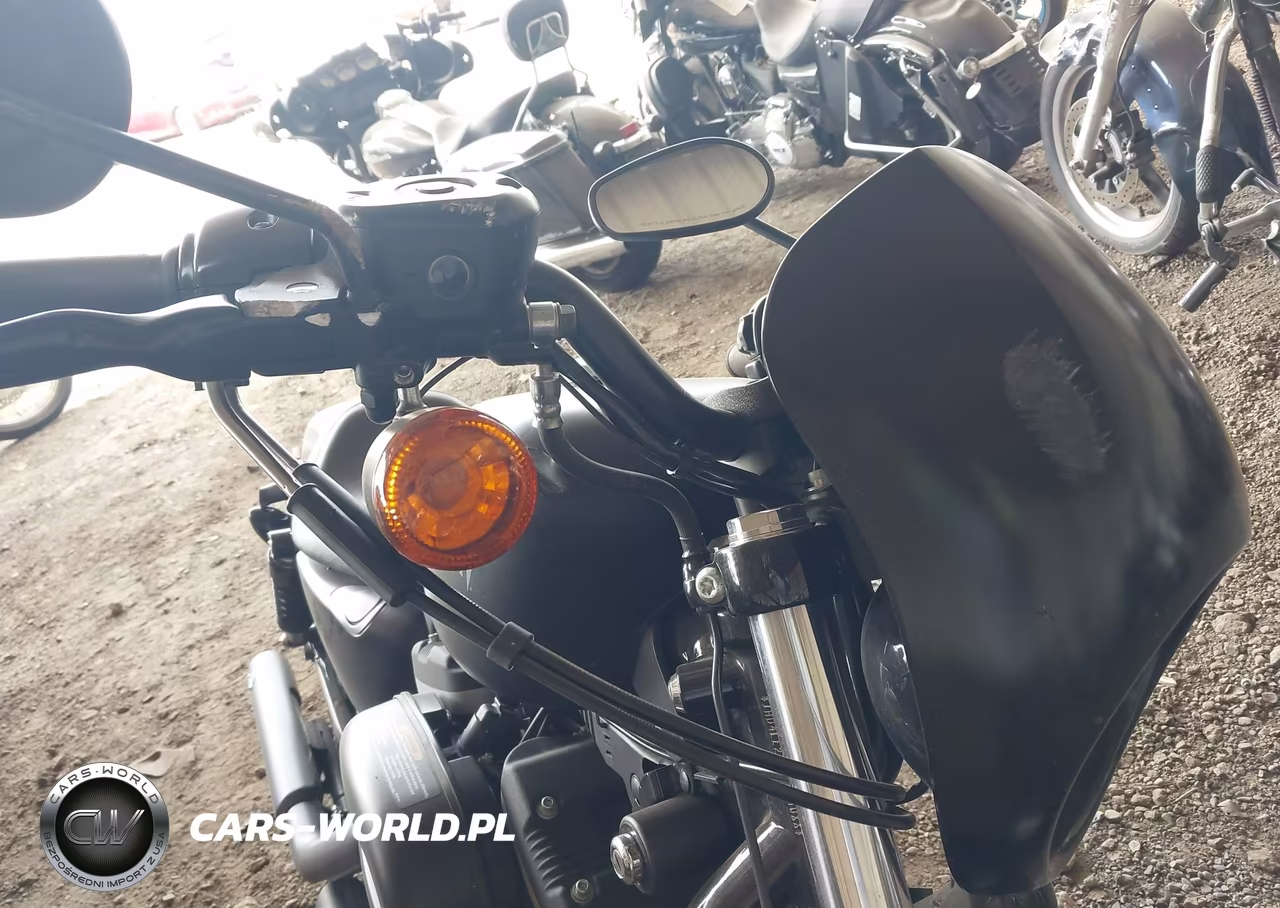2013 Harley-Davidson Xl883 Iron 883 VIN:1HD4LE216DC414088 - 13