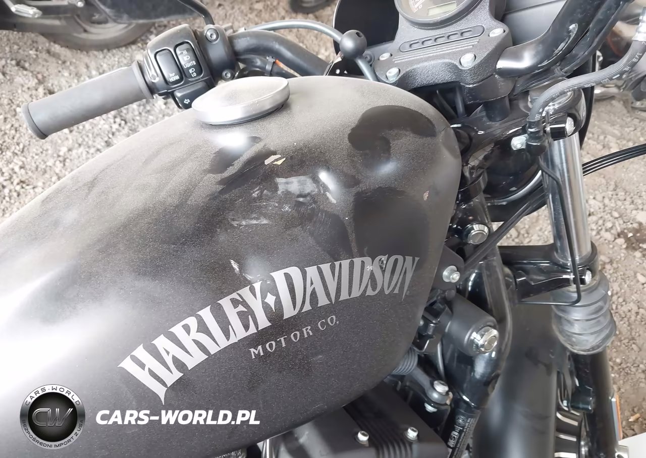 2013 Harley-Davidson Xl883 Iron 883 VIN:1HD4LE216DC414088 - 14