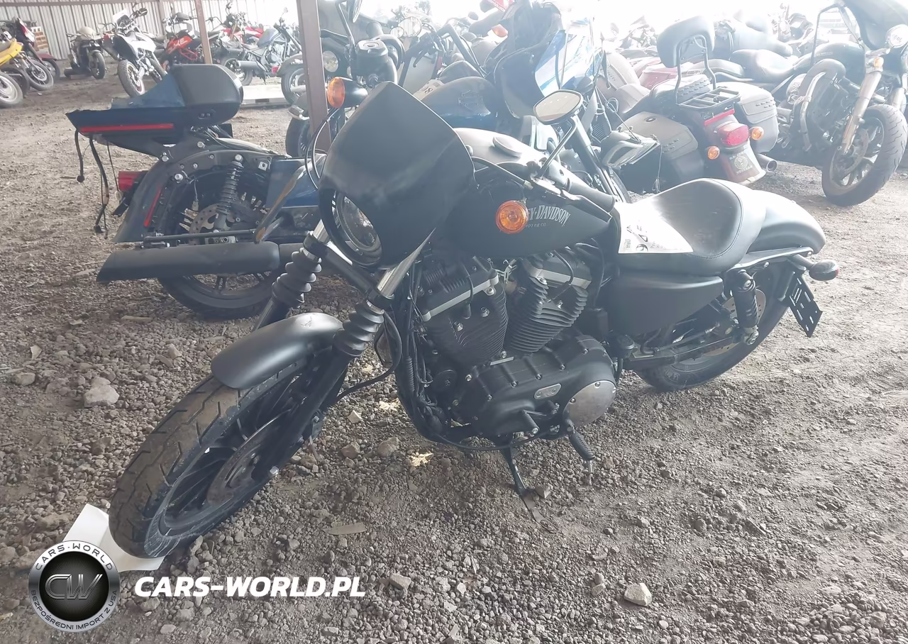 2013 Harley-Davidson Xl883 Iron 883 VIN:1HD4LE216DC414088 - 2