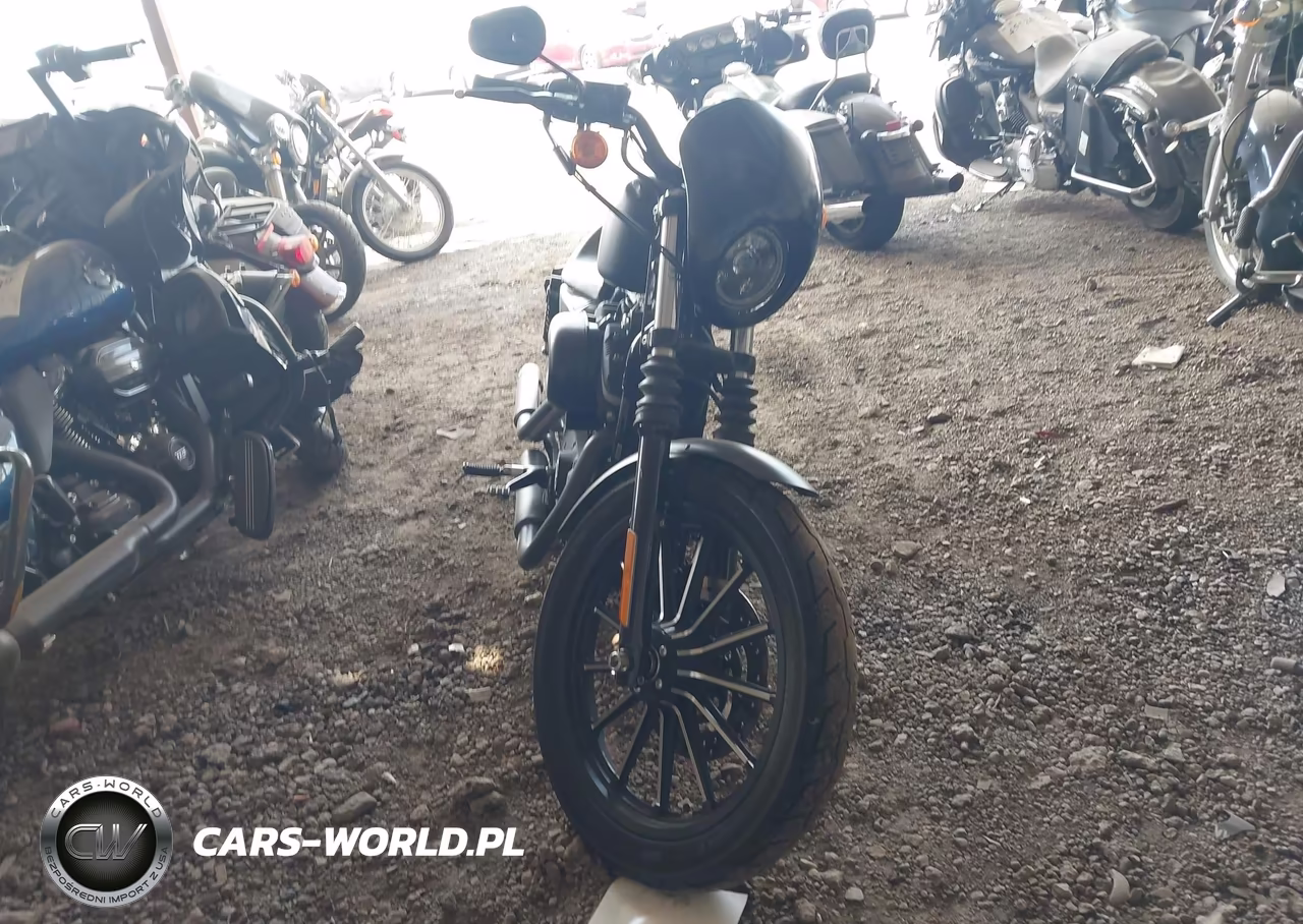 2013 Harley-Davidson Xl883 Iron 883 VIN:1HD4LE216DC414088 - 5
