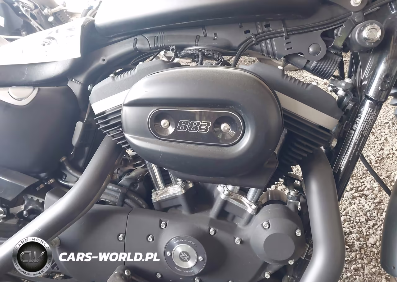 2013 Harley-Davidson Xl883 Iron 883 VIN:1HD4LE216DC414088 - 8