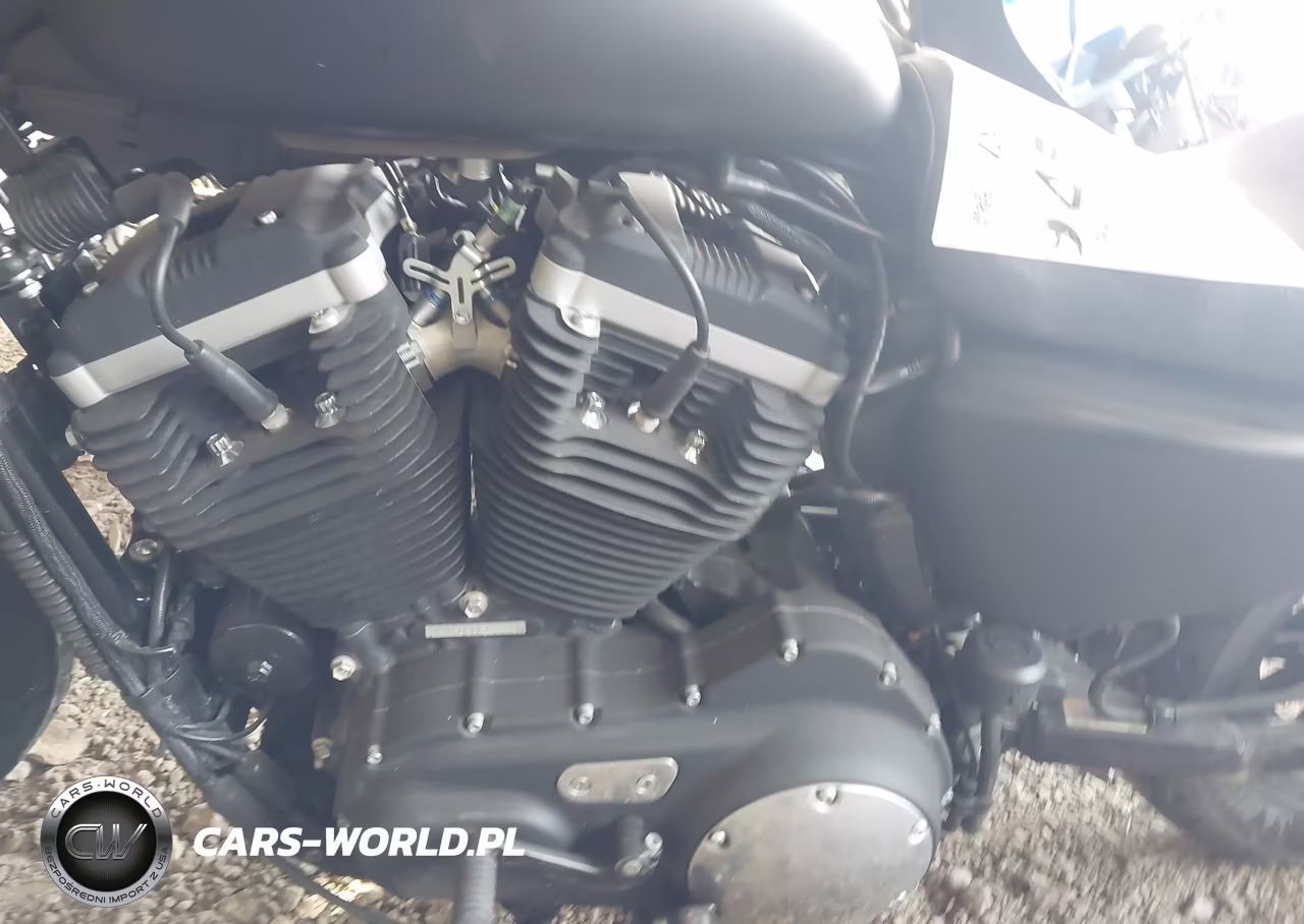 2013 Harley-Davidson Xl883 Iron 883 VIN:1HD4LE216DC414088 - 9