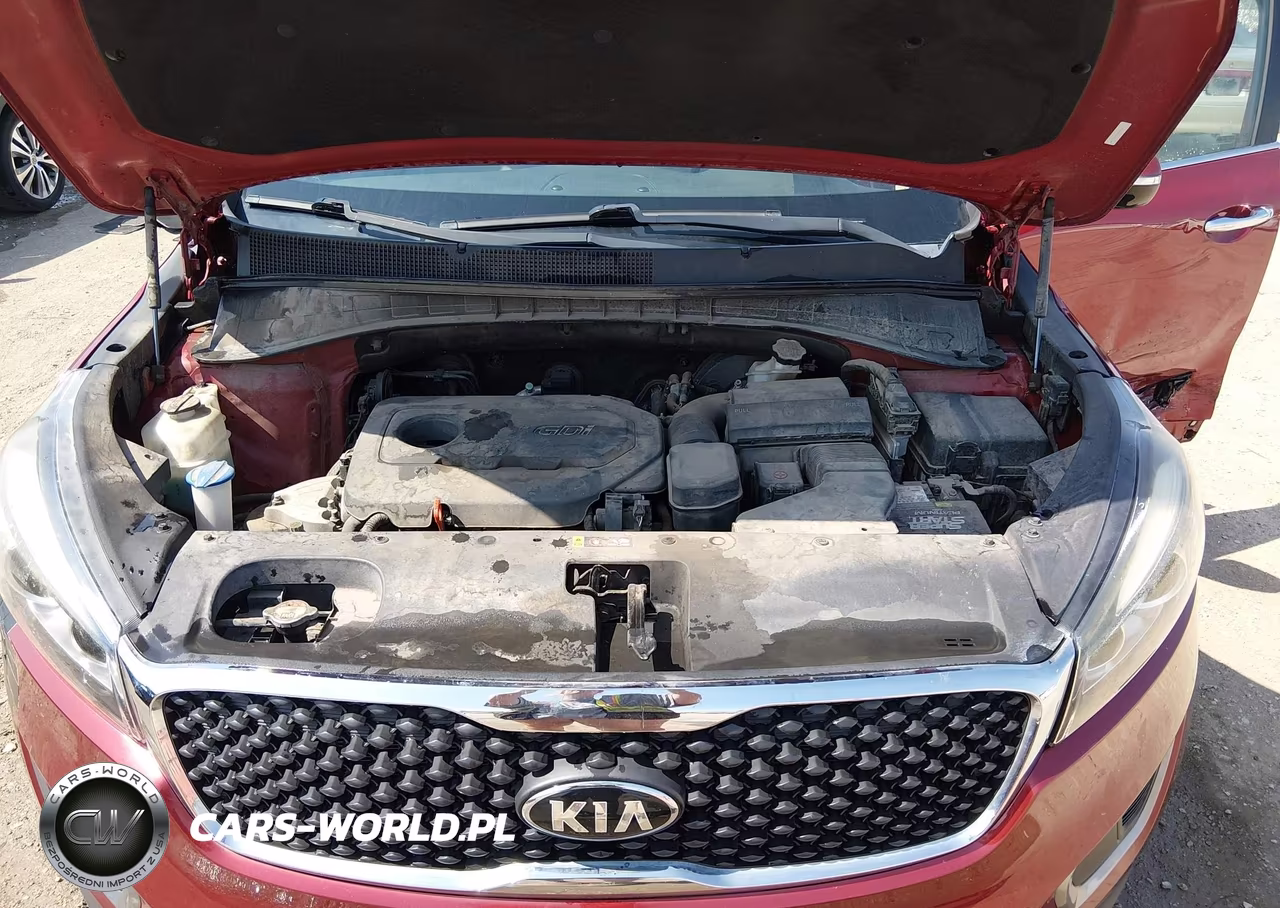 2016 Kia Sorento 2.4L Lx VIN:5XYPG4A34GG091899 - 10