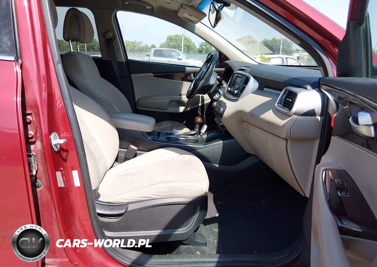 2016 Kia Sorento 2.4L Lx VIN:5XYPG4A34GG091899 - 5