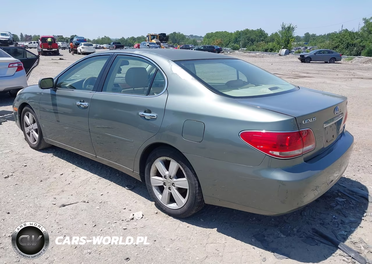 2005 Lexus Es 330 VIN:JTHBA30G455065625 - 3