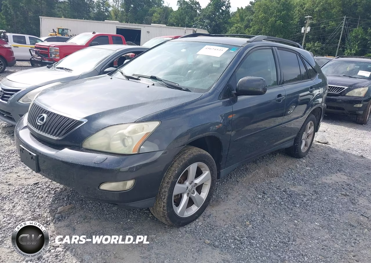 2004 Lexus Rx 330 VIN:JTJHA31U740028089 - 2