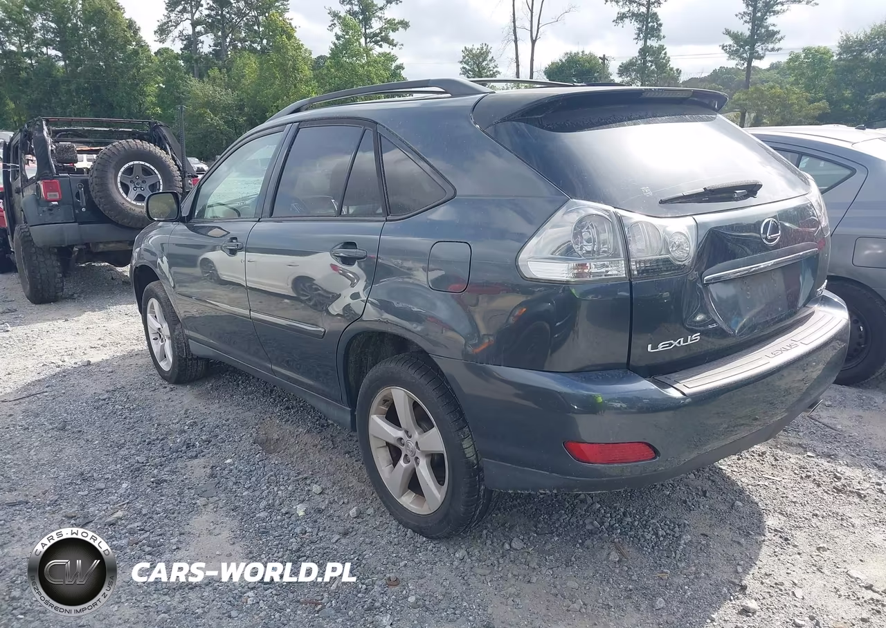 2004 Lexus Rx 330 VIN:JTJHA31U740028089 - 3