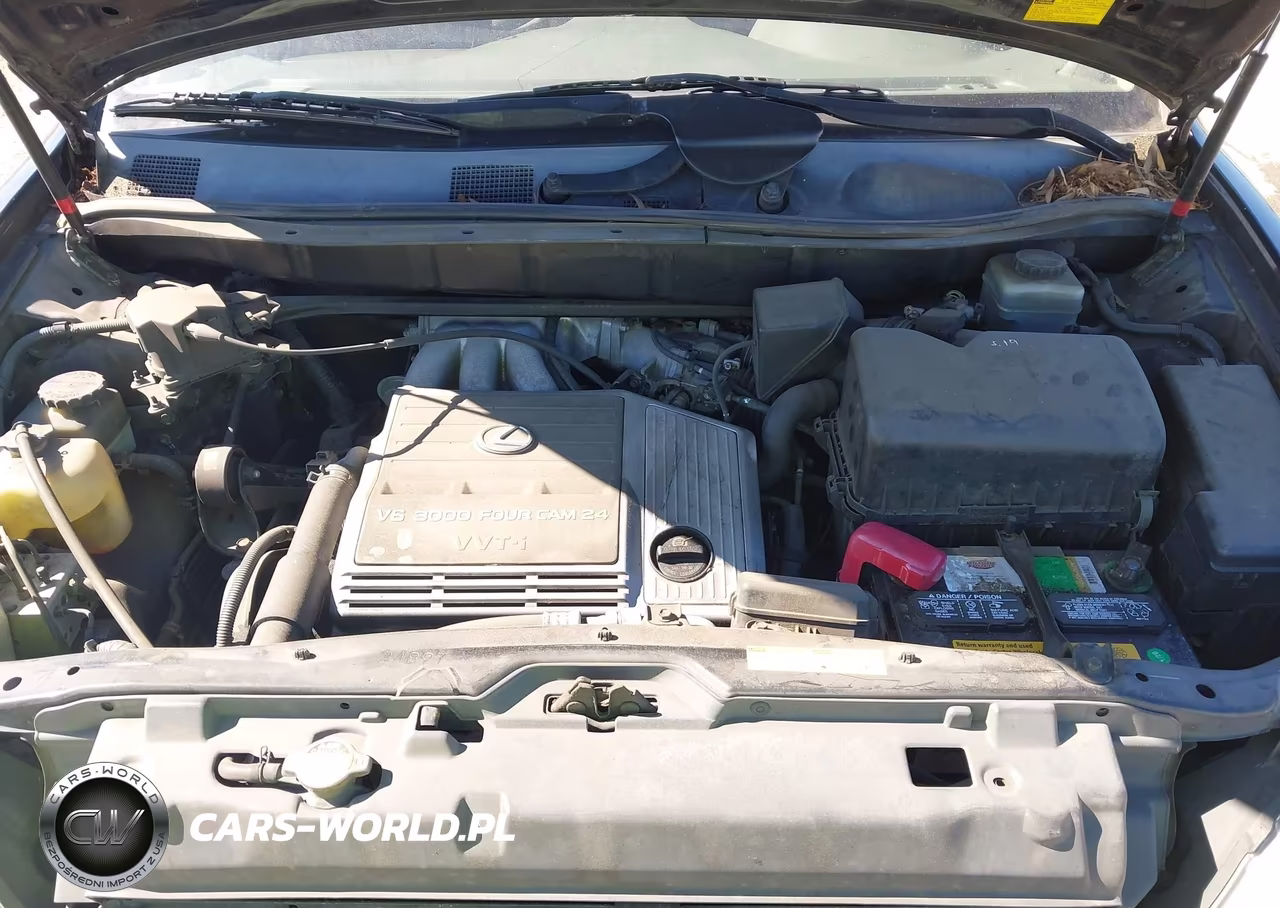 2002 Lexus Rx 300 VIN:JTJGF10U720119766 - 10