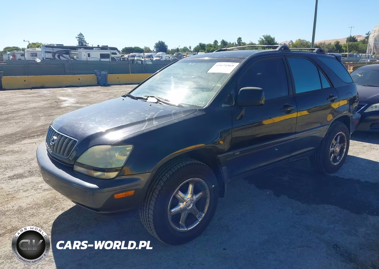 2002 Lexus Rx 300 VIN:JTJGF10U720119766 - 2