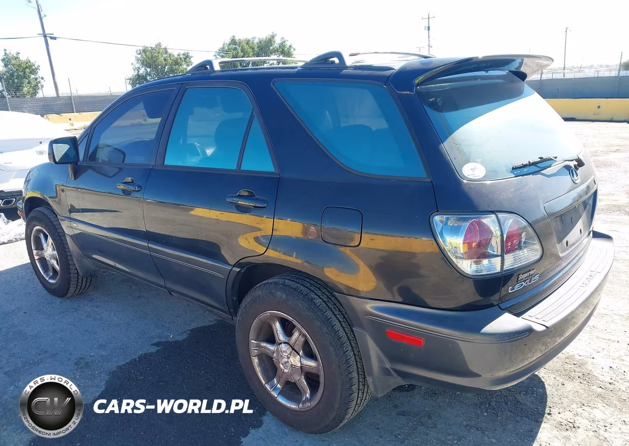 2002 Lexus Rx 300 VIN:JTJGF10U720119766 - 3