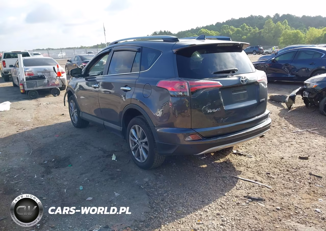 2017 Toyota Rav4 Limited VIN:2T3YFREV6HW327665 - 3