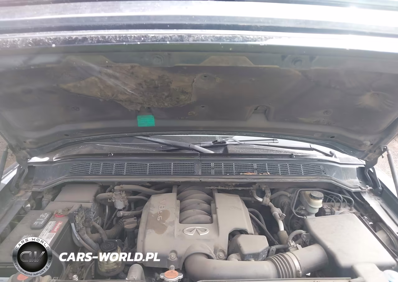 2004 Infiniti Qx56 VIN:5N3AA08CX4N802597 - 10