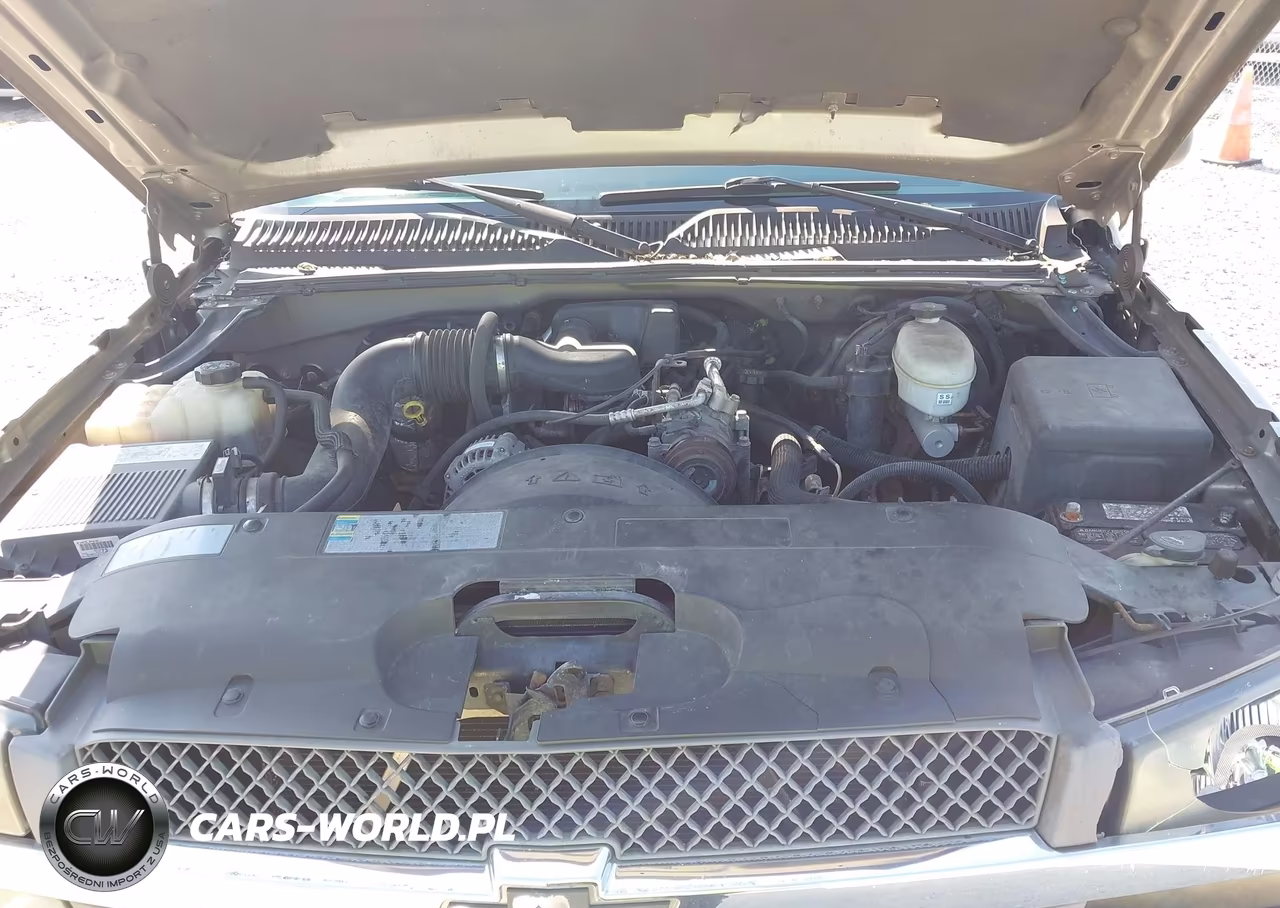 2003 Chevrolet Silverado 1500 Work Truck VIN:1GCEC14X93Z133902 - 10
