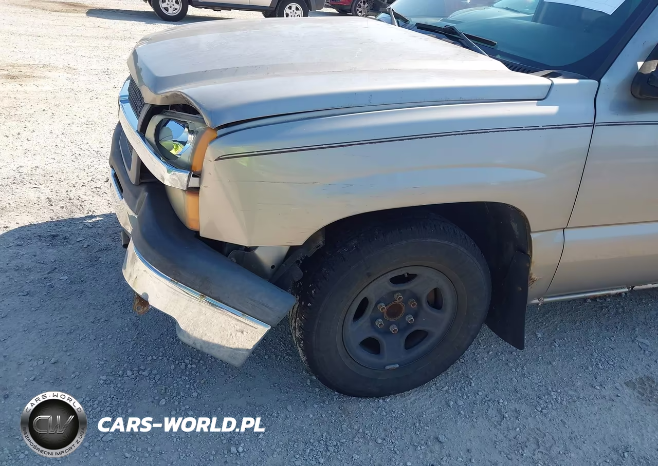 2003 Chevrolet Silverado 1500 Work Truck VIN:1GCEC14X93Z133902 - 13