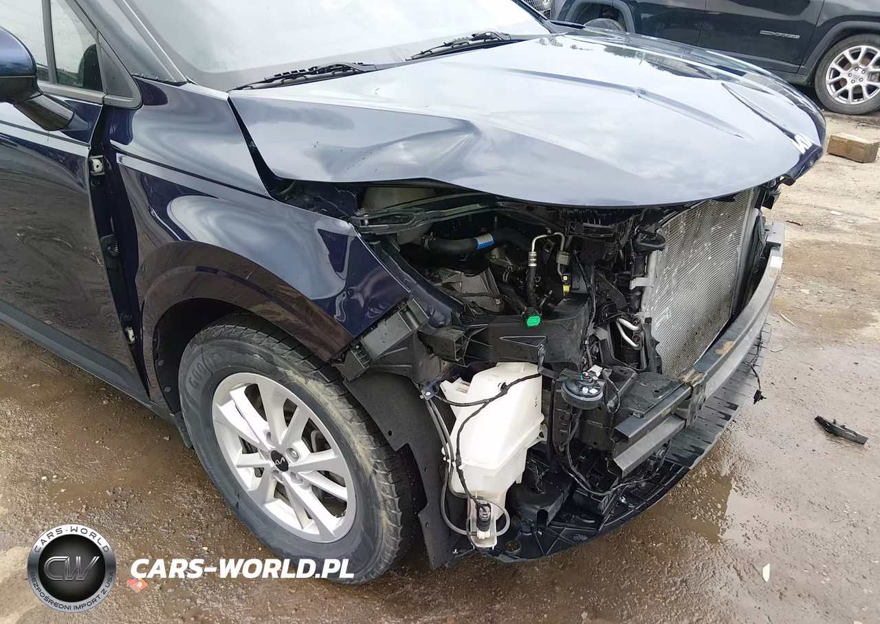 2022 Kia Carnival Mpv Lx Seat Package VIN:KNDNB4H32N6117475 - 19