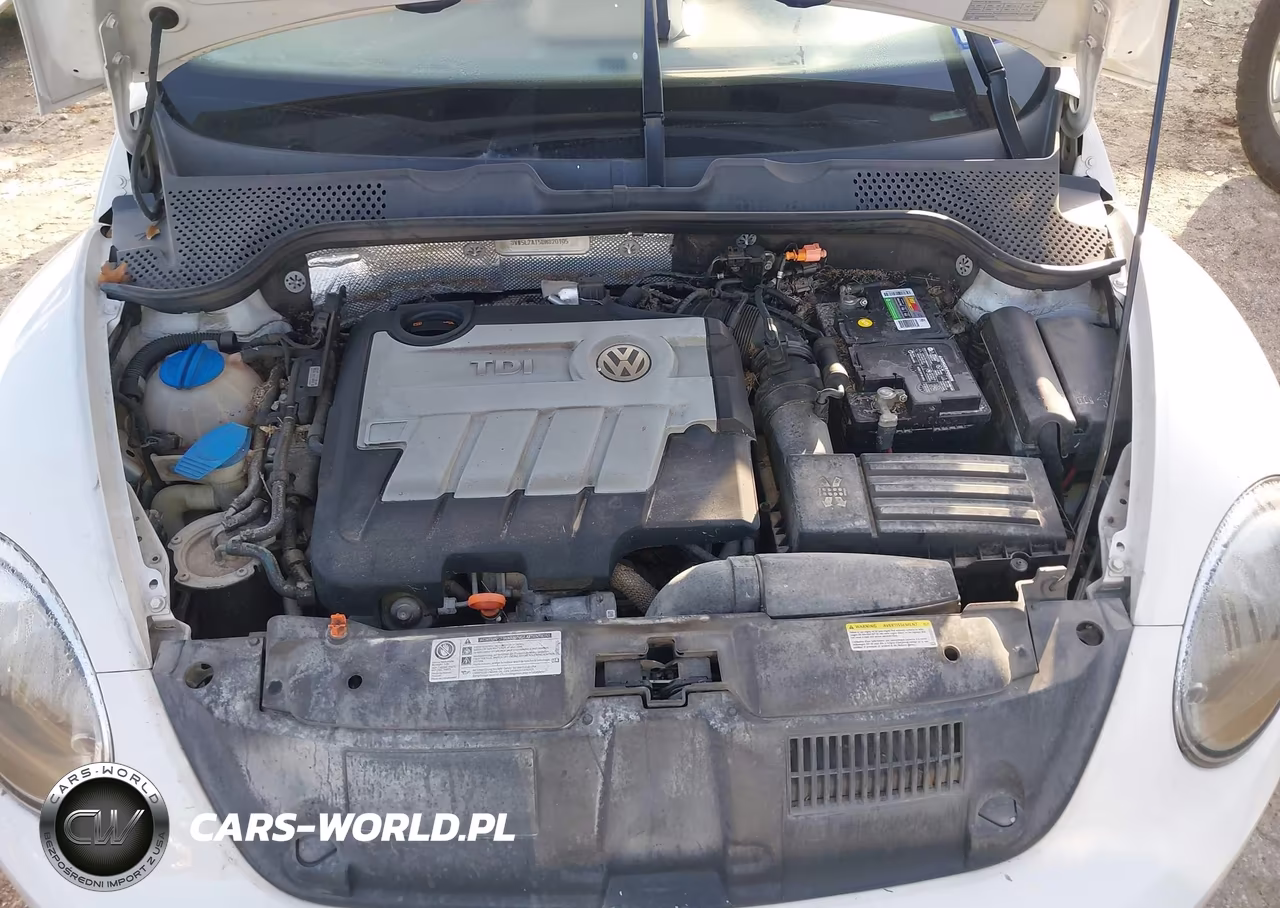 2013 Volkswagen Beetle 2.0L Tdi VIN:3VW5L7AT5DM820105 - 10