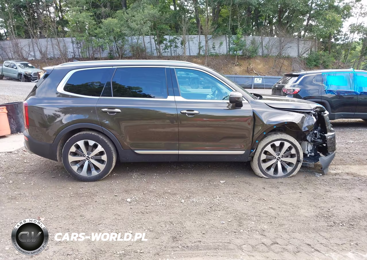 2021 Kia Telluride S VIN:5XYP64HC3MG106154 - 13