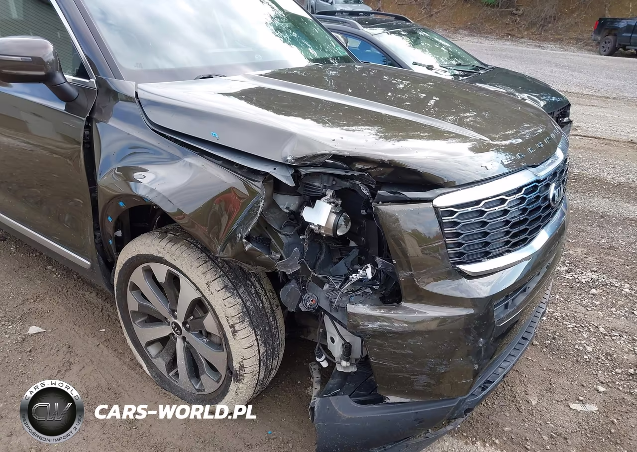 2021 Kia Telluride S VIN:5XYP64HC3MG106154 - 6
