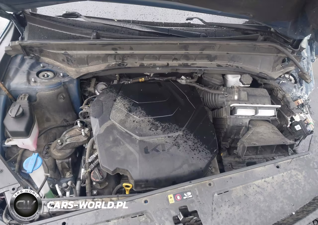 2023 Kia Telluride S VIN:5XYP64GC7PG331277 - 10