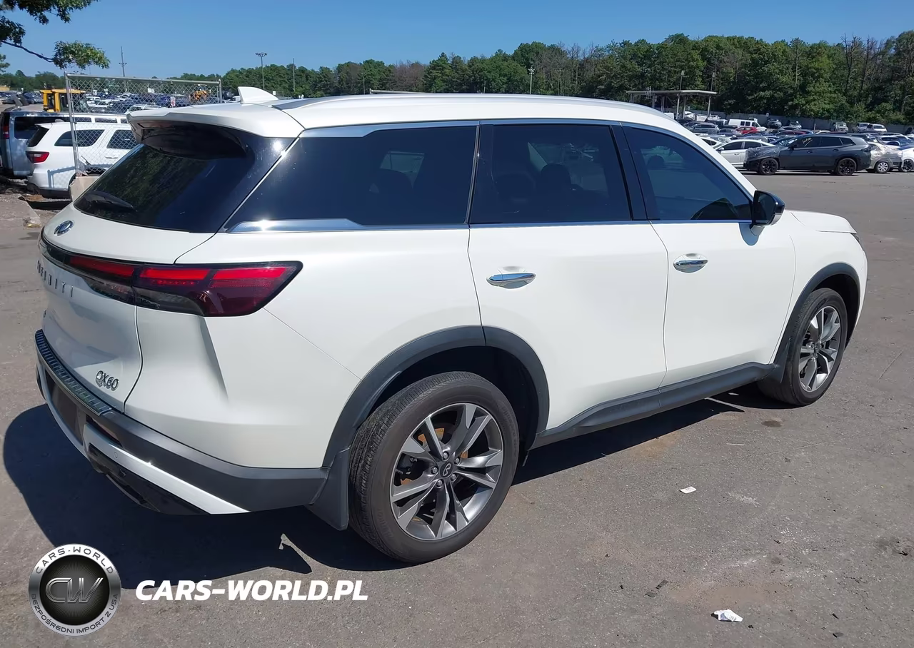 2023 Infiniti Qx60 Luxe Awd VIN:5N1DL1FSXPC374904 - 4