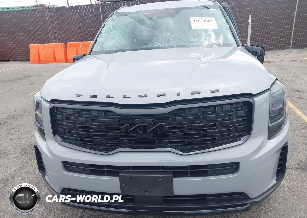 2022 Kia Telluride Ex VIN:5XYP3DHC0NG240386 - 12