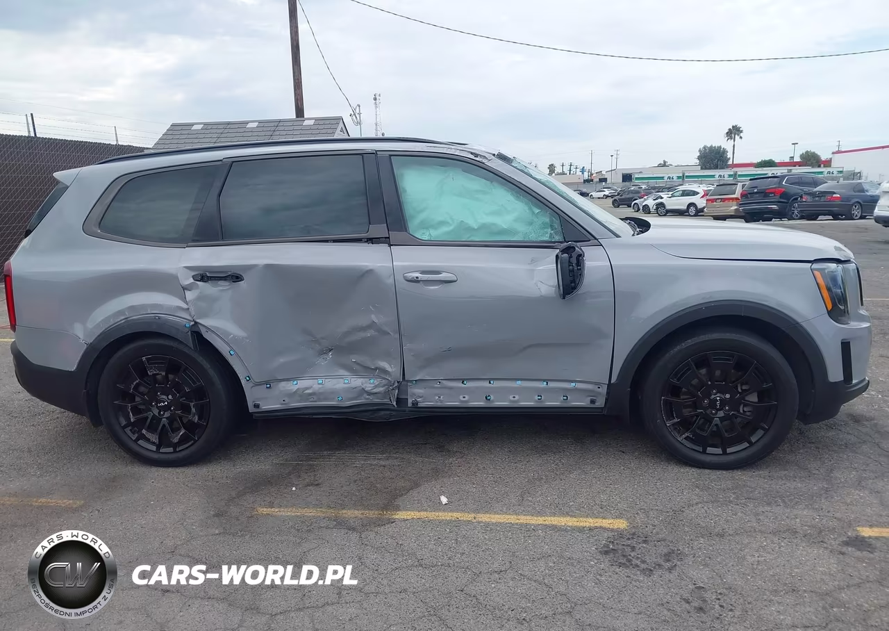 2022 Kia Telluride Ex VIN:5XYP3DHC0NG240386 - 13