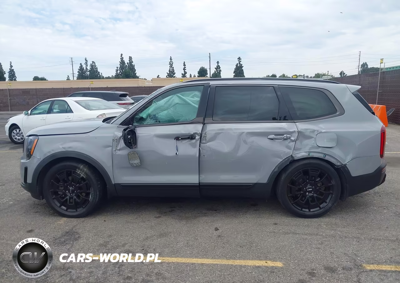 2022 Kia Telluride Ex VIN:5XYP3DHC0NG240386 - 14