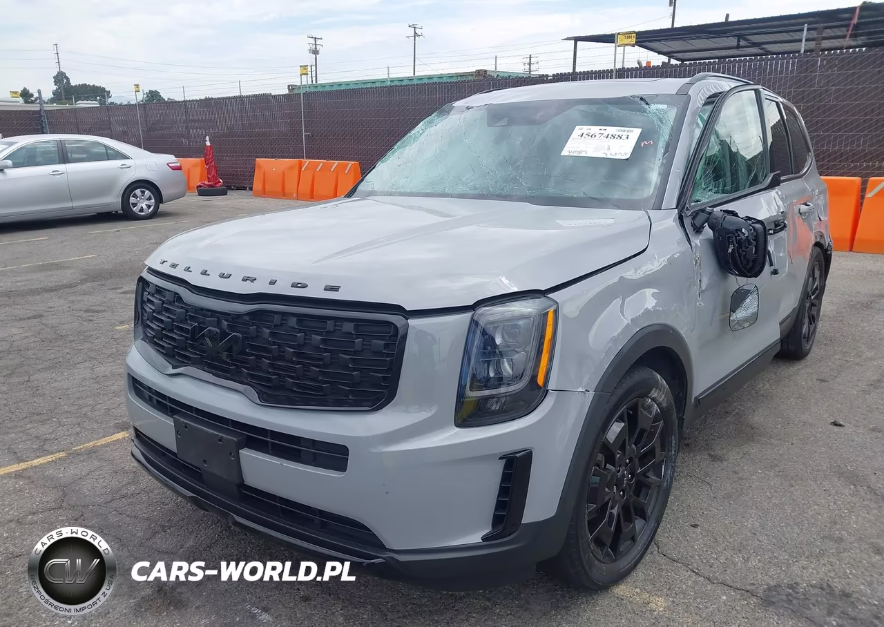2022 Kia Telluride Ex VIN:5XYP3DHC0NG240386 - 2