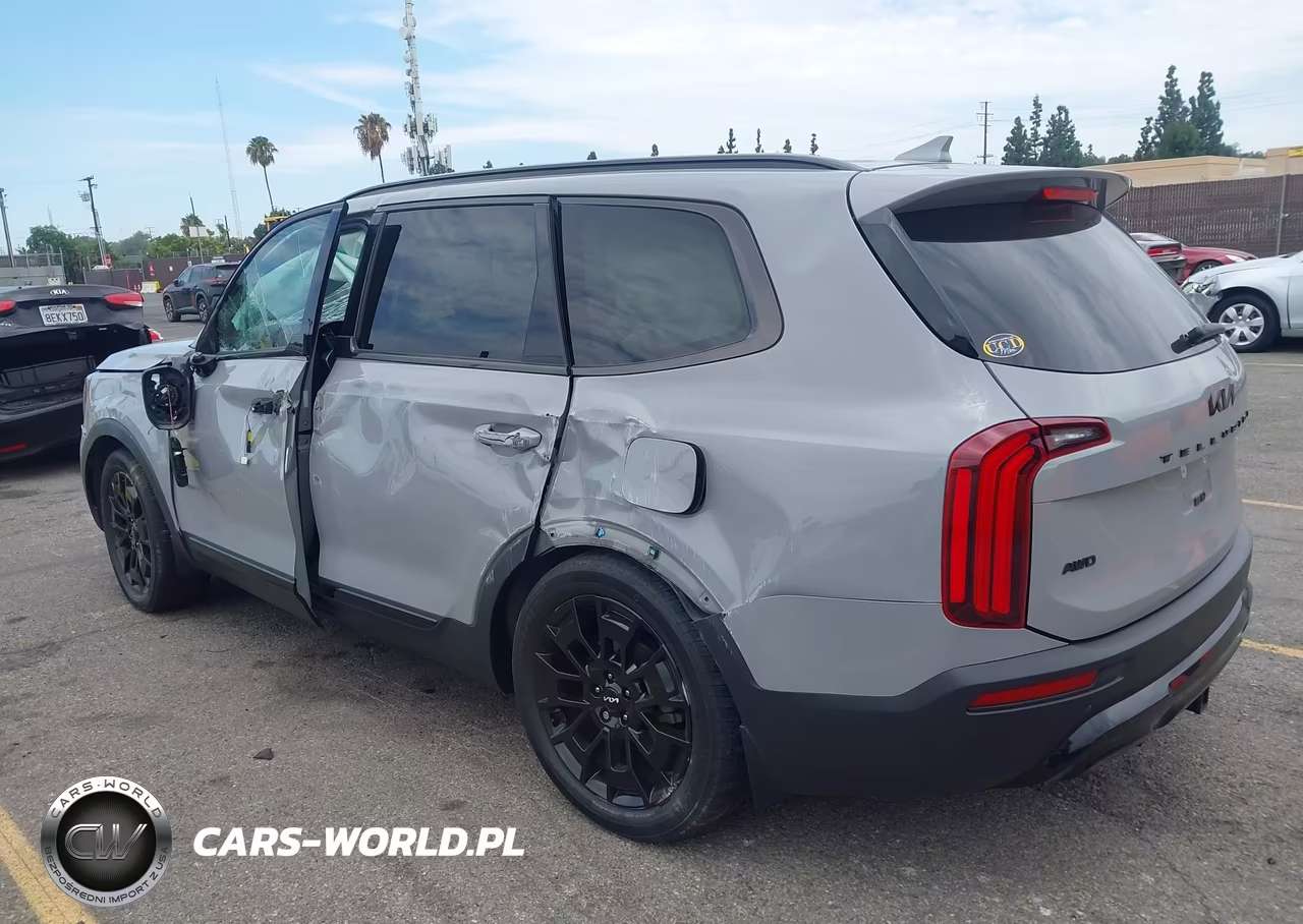 2022 Kia Telluride Ex VIN:5XYP3DHC0NG240386 - 3