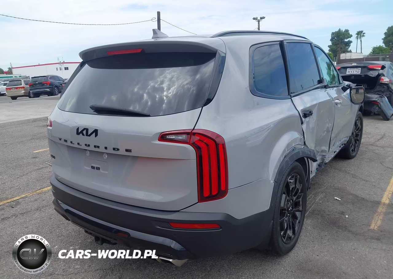 2022 Kia Telluride Ex VIN:5XYP3DHC0NG240386 - 4