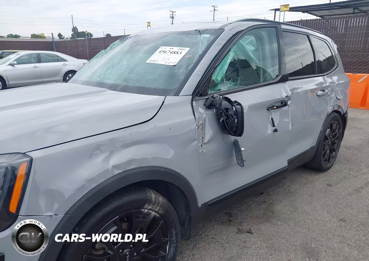 2022 Kia Telluride Ex VIN:5XYP3DHC0NG240386 - 6