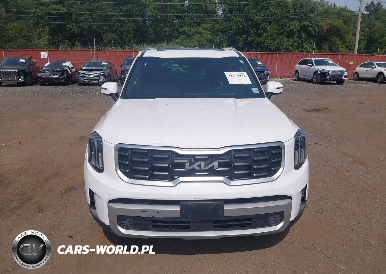 2024 Kia Telluride Sx Prestige VIN:5XYP5DGCXRG478683 - 12