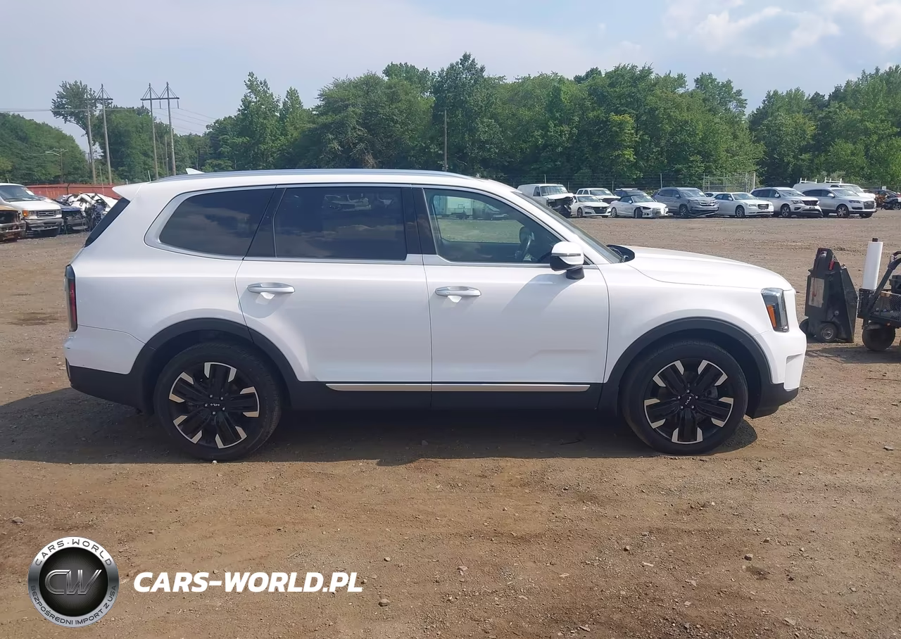 2024 Kia Telluride Sx Prestige VIN:5XYP5DGCXRG478683 - 13