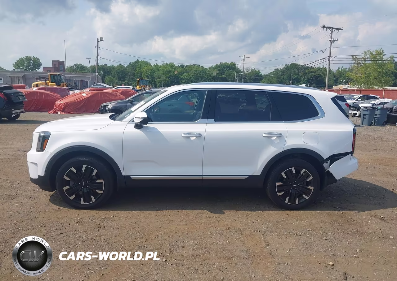 2024 Kia Telluride Sx Prestige VIN:5XYP5DGCXRG478683 - 14