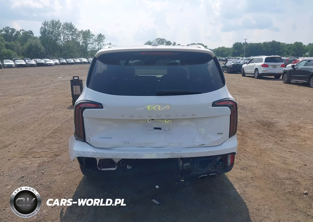 2024 Kia Telluride Sx Prestige VIN:5XYP5DGCXRG478683 - 16