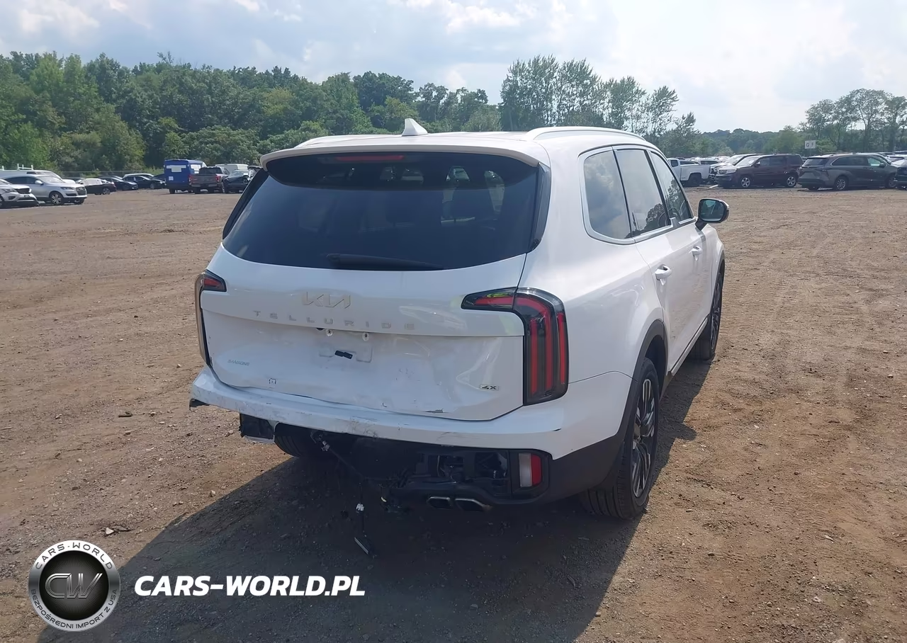 2024 Kia Telluride Sx Prestige VIN:5XYP5DGCXRG478683 - 17