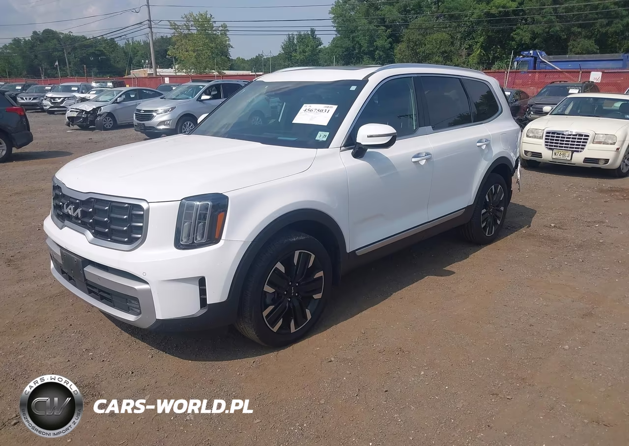 2024 Kia Telluride Sx Prestige VIN:5XYP5DGCXRG478683 - 2