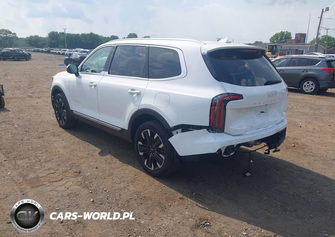 2024 Kia Telluride Sx Prestige VIN:5XYP5DGCXRG478683 - 3