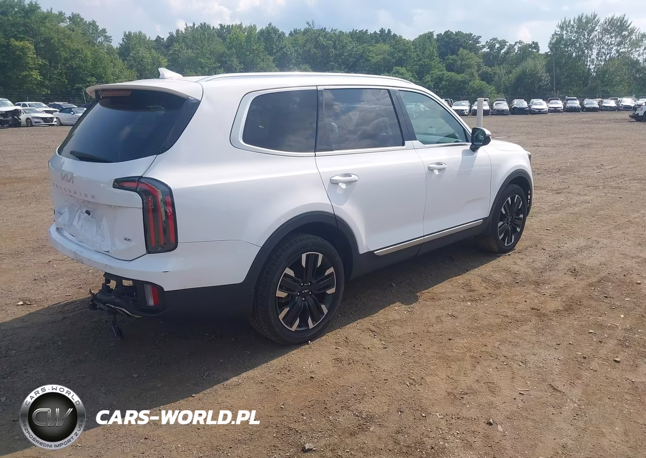 2024 Kia Telluride Sx Prestige VIN:5XYP5DGCXRG478683 - 4