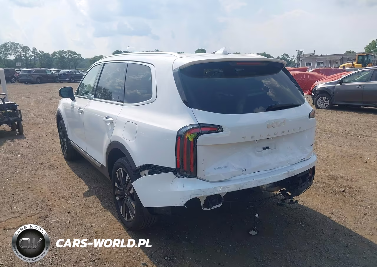 2024 Kia Telluride Sx Prestige VIN:5XYP5DGCXRG478683 - 6