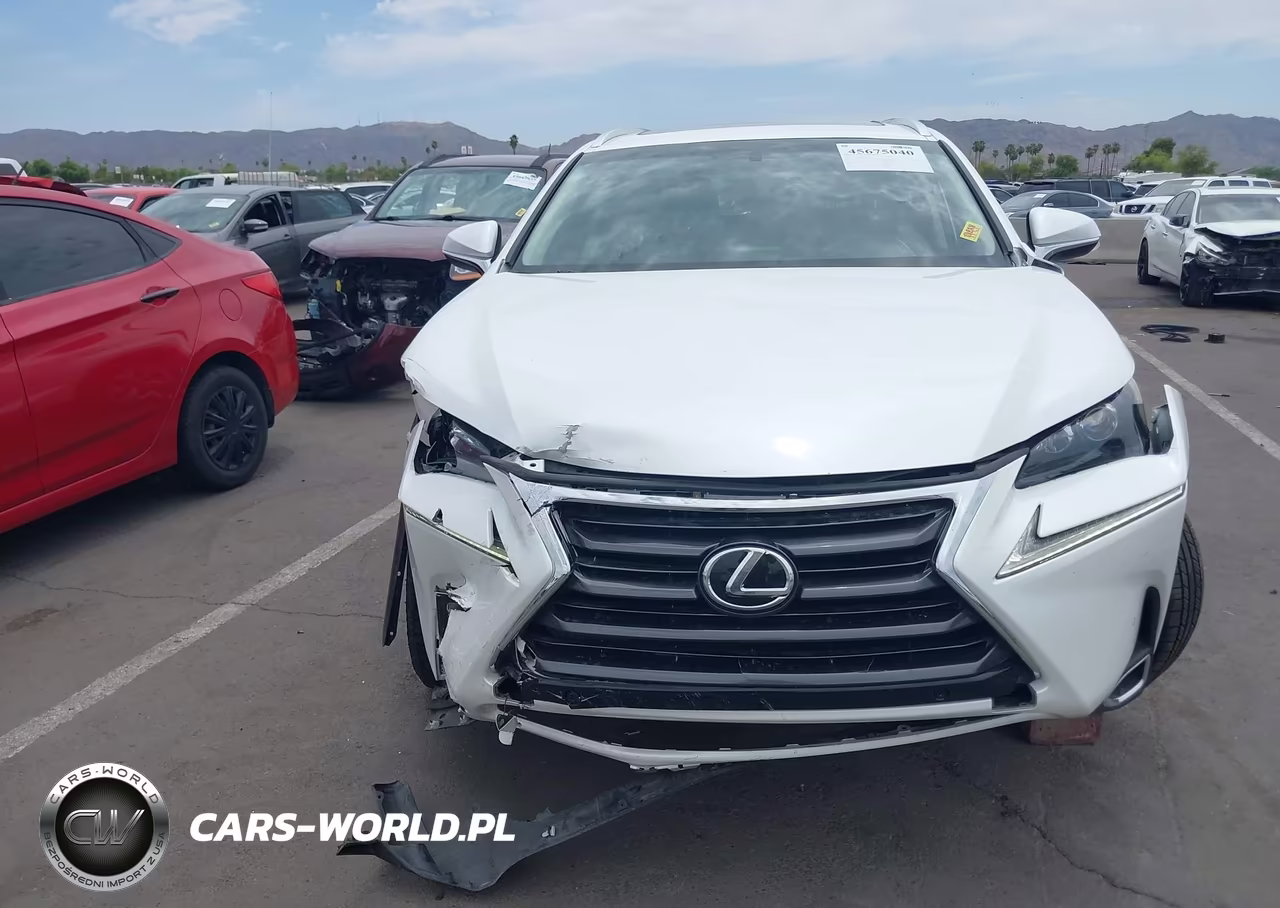 2017 Lexus Nx 200T VIN:JTJYARBZ4H2059064 - 12