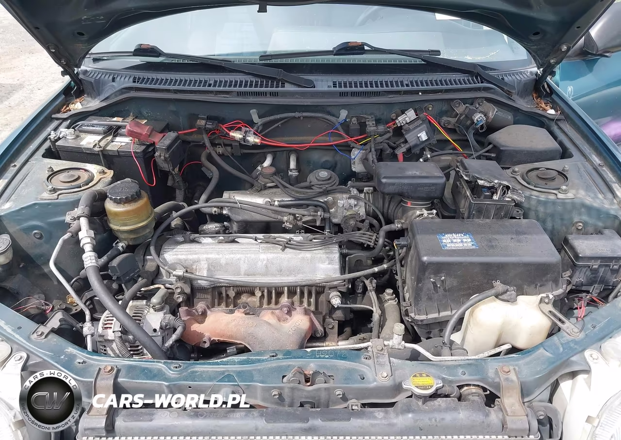 1997 Toyota Rav4 VIN:JT3HP10V2V7037246 - 10