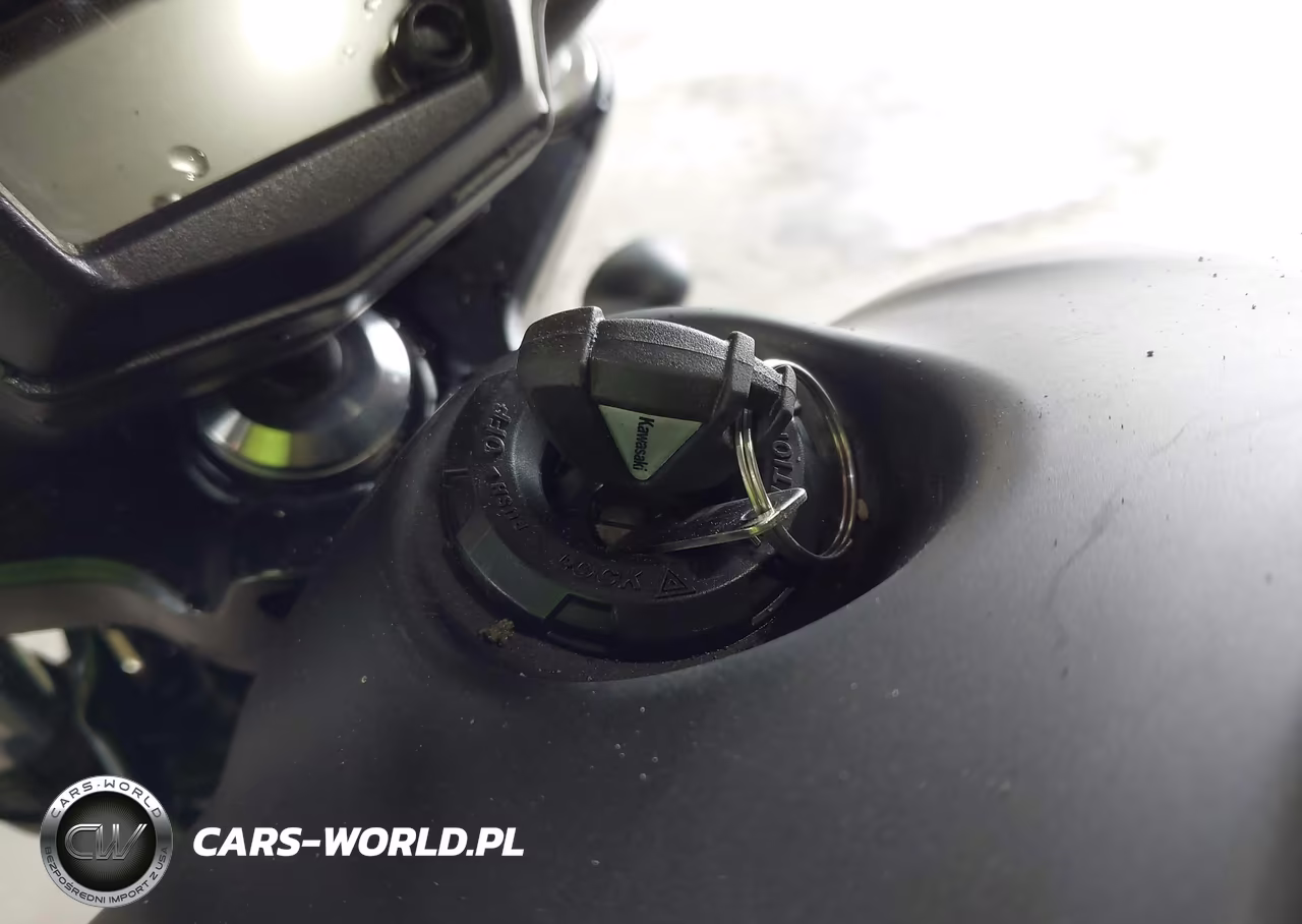 2024 Kawasaki En650 D VIN:JKAENED1XRDA33288 - 11