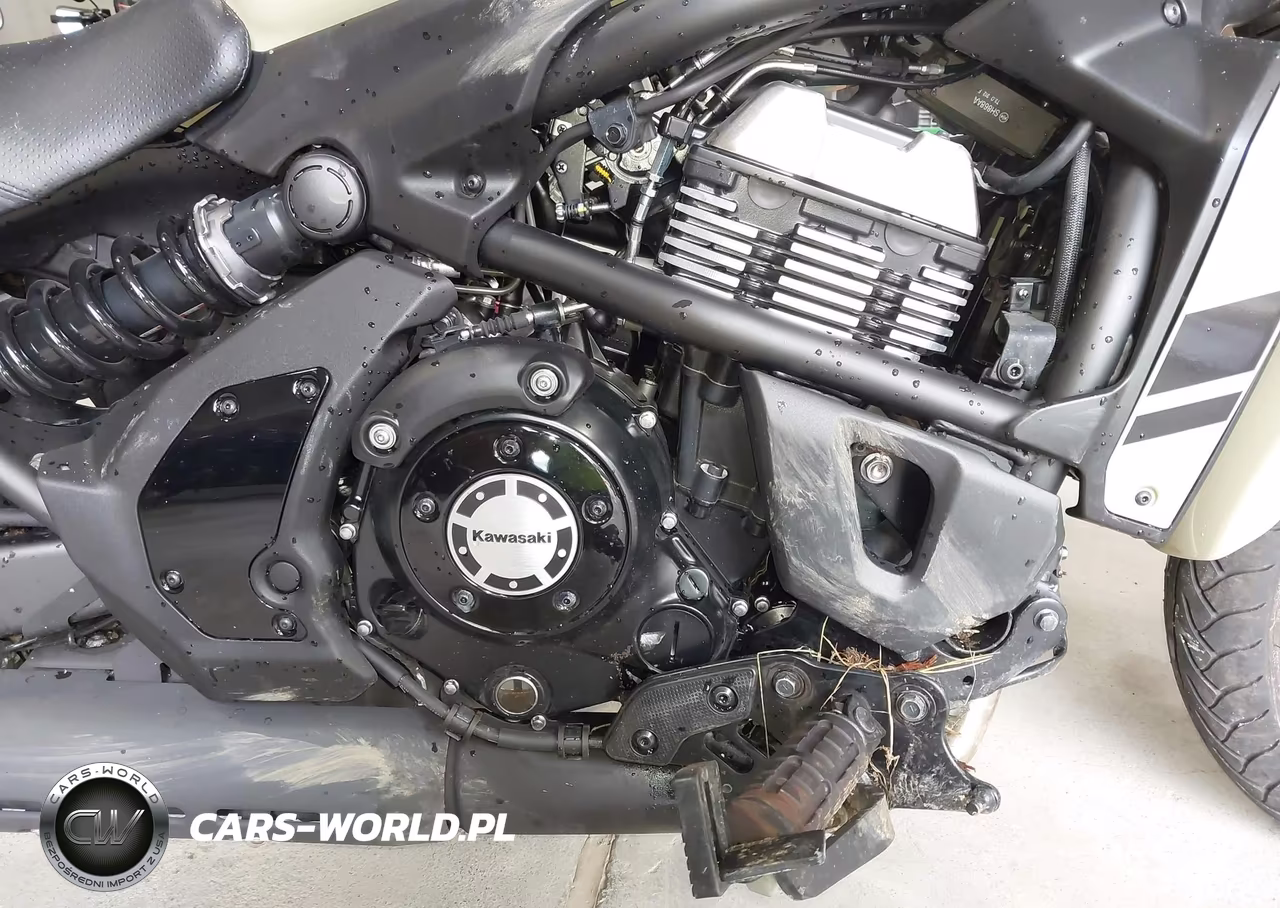 2024 Kawasaki En650 D VIN:JKAENED1XRDA33288 - 8