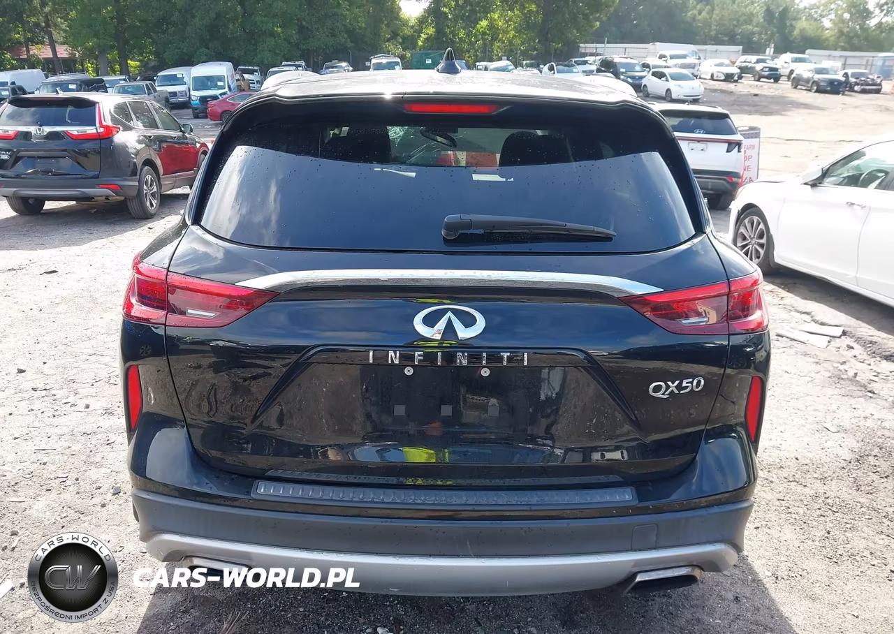 2019 Infiniti Qx50 Luxe VIN:3PCAJ5M17KF137426 - 17